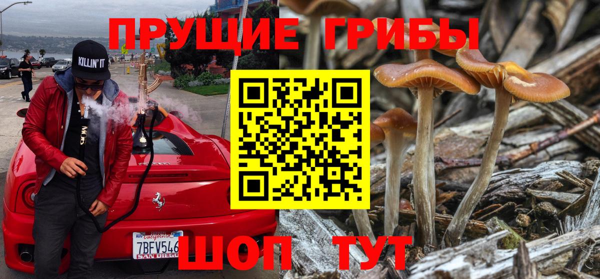 Галлюциногенные грибы мицелий Надым