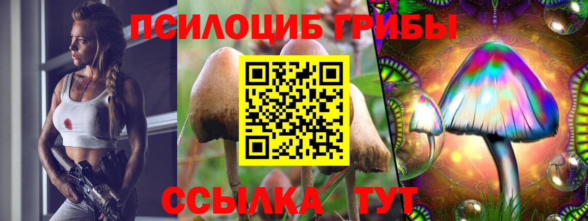 Надым  купить   Вход с VPN  Псилоцибиновые грибы мицелий  Галлюциногенные грибы Psilocybine cubensis 